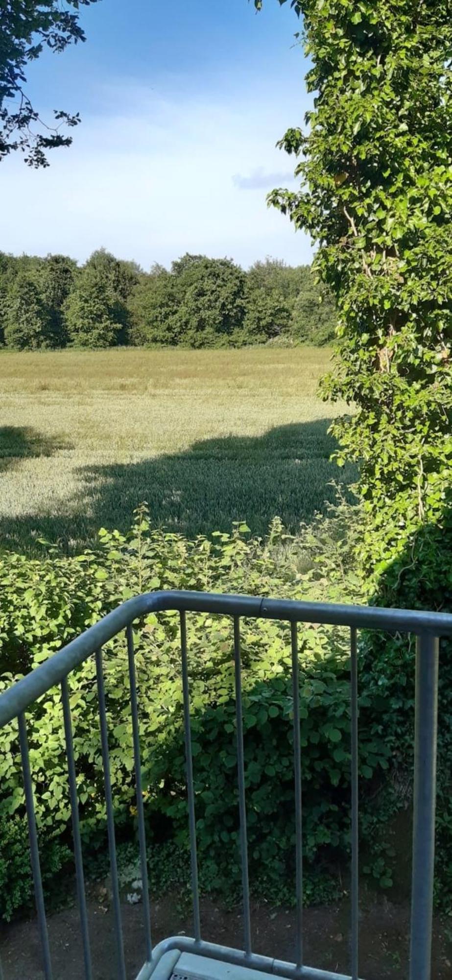 Landperle *